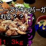 ダイナーズ　総重量１．３ｋｇ　ゴリランチ　デカ盛り　札幌でチャイニーズチキンバーカーが食べられる？　コザクラインコも出るよ！