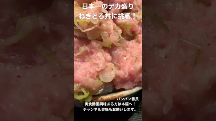 これが日本一のデカ盛りねぎとろ丼！マリンタワーII【大食い】