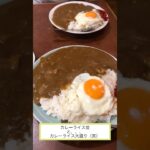 【デカ盛りカレー！！】「珍来」東京都江戸川区南小岩店♪グルメ#Short