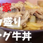 すき家デカ盛りキング牛丼【週末の地図ファルカブ】