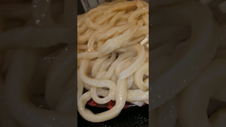 【デカ盛り極太❕武蔵野うどん】【「須佐之男」の『定番茄子汁うどん』🍆750㌘を食べるだけの動画】♯shorts