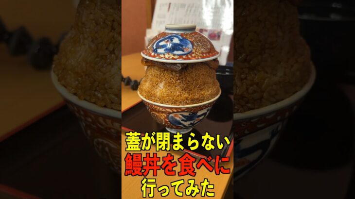 蓋が閉まらないくらいデカ盛り丼がヤバいww#shorts #タケヤキ翔