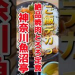 【神奈川・平塚】デカ盛りごはんのお店‼︎魚沼亭