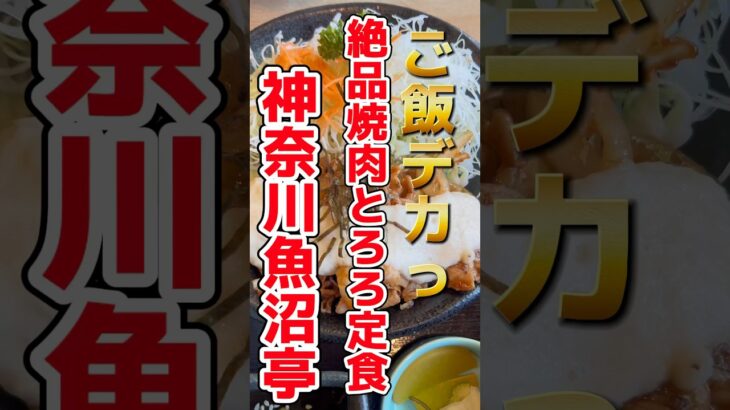 【神奈川・平塚】デカ盛りごはんのお店‼︎魚沼亭