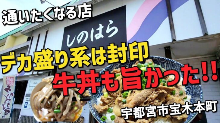 和食が旨い店【季節料理しのはら・宇都宮市宝木本町】初の牛丼をオーダーし大成功!!