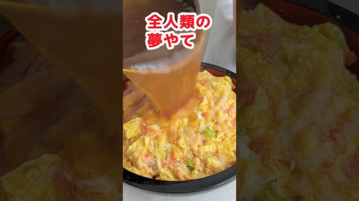 【大食い】米１升 玉子20個のデカ盛り天津飯を食べる主婦 #モッパン #飯テロ #mukbang #料理 #大胃王 #高カロリー  #天津飯 #10月18日は天津飯の日 #Shorts #PR