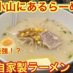 [自家製ラーメン]武蔵小山にあるコスパ最強！デカ盛りラーメン食べてみた。