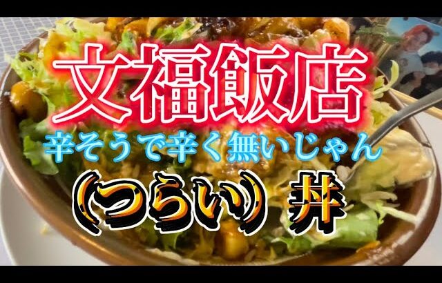 【文福飯店】デカ盛り戦隊Dレンジャーの（ブルー）さんが命名した（つらい）丼