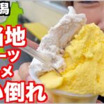 【大食い】新潟でご当地グルメ・スイーツ・パンを食べた後にデカ盛りハンバーグカレーで胃袋の限界へ【車中泊】