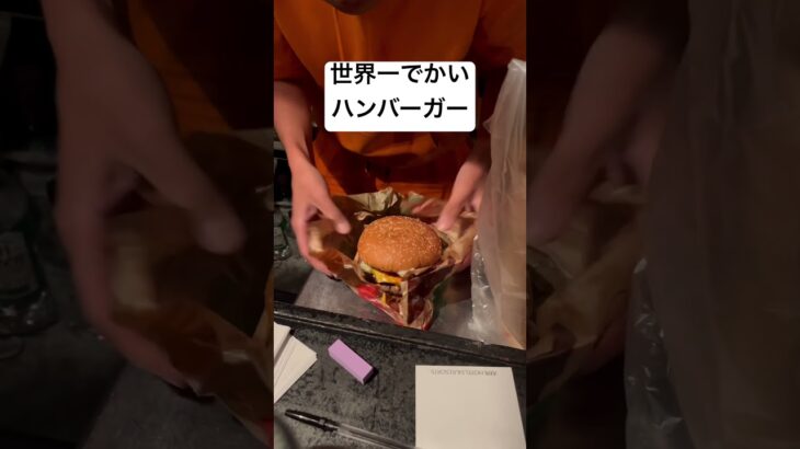 世界一デカ盛りハンバーガー　バーガーキング