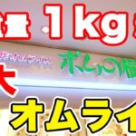 【デカ盛り】ポムの樹の総重量1kg超の巨大Lサイズのオムライスを今年の最後に大食いチャレンジしたら美味し過ぎて余裕で食べれましたw【ポムの樹 Lサイズ オムライス】