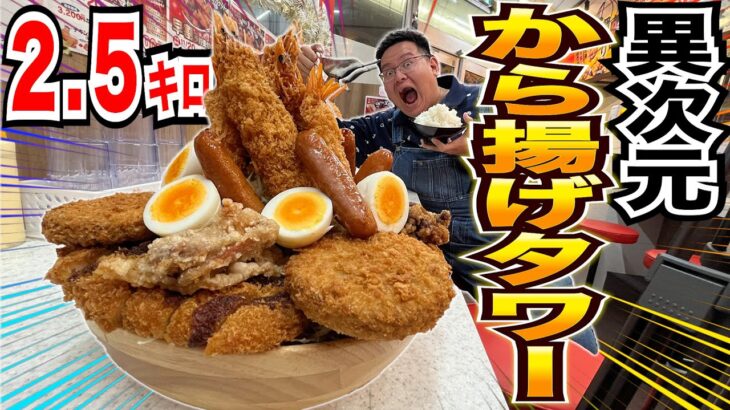 【デカ盛り】2.5キロ超巨大から揚げタワーを大食いしたら最高過ぎた！#美女 #大男 #ぽっちゃり#大盛り#爆盛り＃大食い