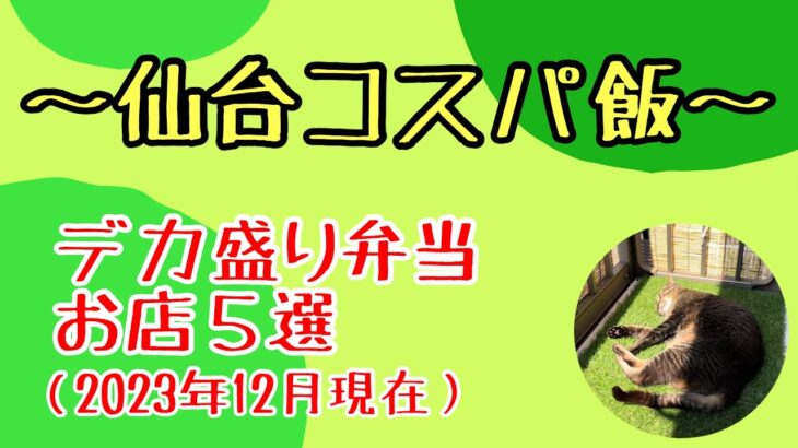 【デカ盛り】デカ盛り弁当お店５選（2023年12月現在）