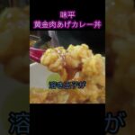 【京都 味平】黄金肉あげカレー丼　ガツ盛り食堂#Shorts