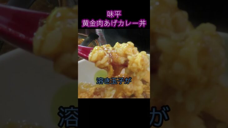 【京都 味平】黄金肉あげカレー丼　ガツ盛り食堂#Shorts