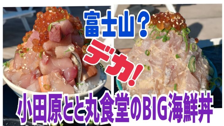 富士山⁉️デカ盛り海鮮丼😍🗻漁港の駅 TOTOCO小田原のとと丸食堂🐟