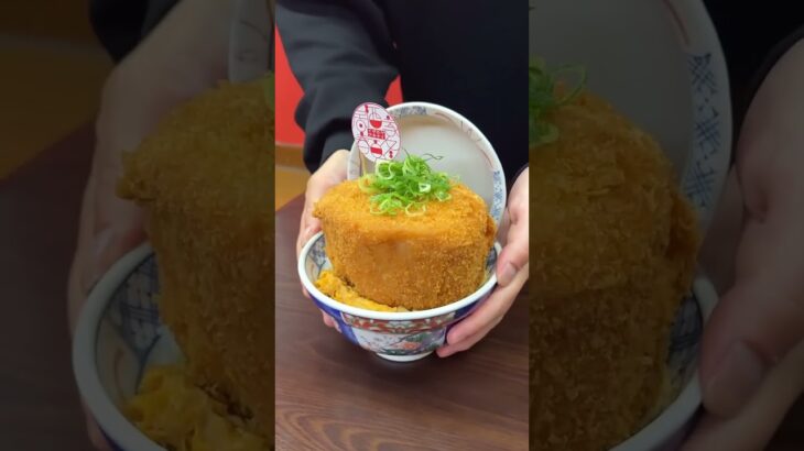 総重量1.3キロ越えのデカ盛りカツ丼🐟！尋常じゃない肉の厚みは二度見するレベル【春夏冬：福岡折尾】 #asmr