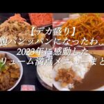 【デカ盛り】腹パンになったわ！2023年に感動したボリューム満点メニューまとめ@Vlog-gl3oz