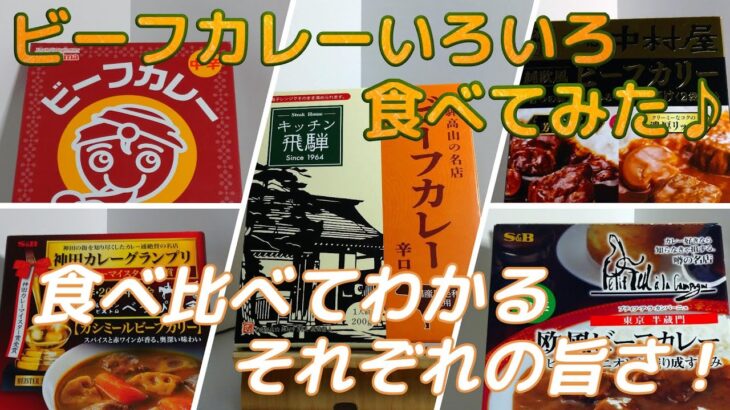 【レトルトカレー】【デカ盛り】【ビーフカレー】5合メシで5種類のビーフカレーをまとめて紹介！