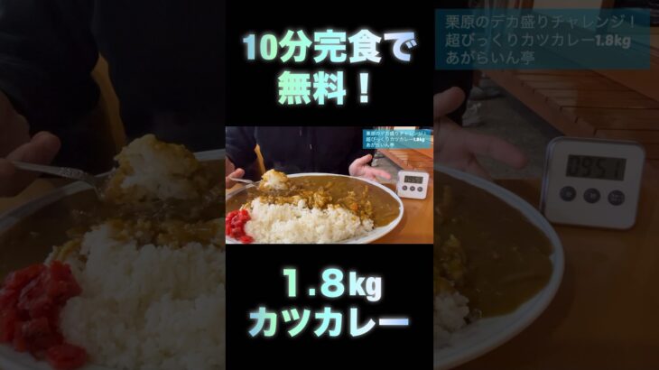 【デカ盛り】1.8kg！超びっくりカツカレーチャレンジ！あがらいん亭 #仙台 #ランチ #グルメ #デカ盛り #栗原市