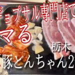 大食いデカ盛り有名店で昼からキマる‼️【栃木県佐野市　サムギョプサル専門　豚どんちゃん2号店】