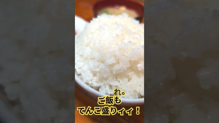 【デカ盛り】夜にこんなに美味しいデカ盛り定食が食べられるとは！「樹のめし家」【歓喜】 #宮崎グルメ #宮崎市グルメ #宮崎市 #宮崎ランチ #樹のめし家 #宮崎デカ盛り #デカ盛り