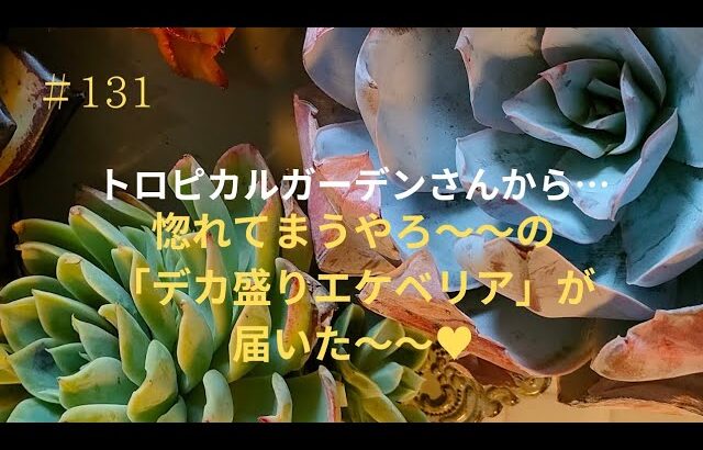 デカ盛りセットは、想像以上に素晴らしかった！／ＤＩＹ第二弾！！