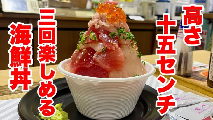 【デカ盛り】高さ15㎝の海鮮丼を食べたら幸せになった『TOTOMARU』【群馬県渋川市】