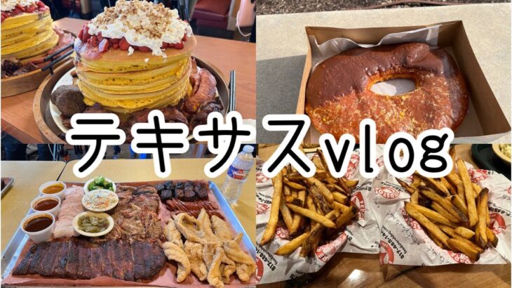 【Vlog】テキサス旅行〜お仕事です〜いっぱいデカ盛り食べてきた。【大食い】【大胃王】