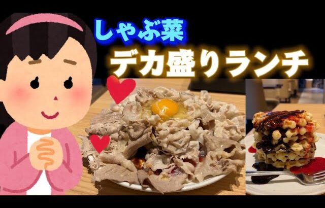 【しゃぶ菜】デカ盛りランチを食べに行ってみたいと思います🌋