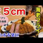 【デカ盛り】25cmの巨大エビフライ！かつ丸仙台中山店