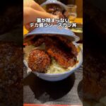 蓋が閉まらない デカ盛りソースカツ丼