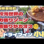 【新潟県デカ盛りグルメ】#191 異次元世界のデカ盛りゾーン😵‍💫💦普通盛りがカオス🤭🎶新潟県聖籠町『ドライブイン 小柳』で食べたよ😋