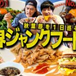 最強ジャンク丼&ニラ爆盛り麺！デカ盛りの聖地”秋葉原”でジャンク飯だけを食べる1日が最高すぎたwww【限界大食い/飯テロ】