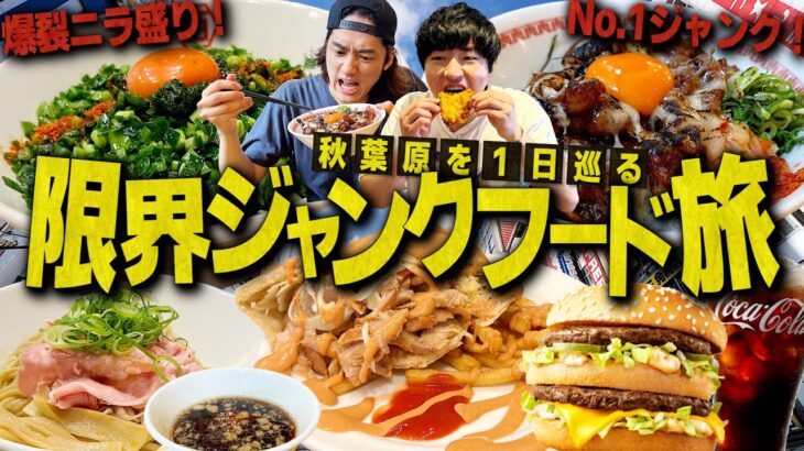 最強ジャンク丼&ニラ爆盛り麺！デカ盛りの聖地”秋葉原”でジャンク飯だけを食べる1日が最高すぎたwww【限界大食い/飯テロ】