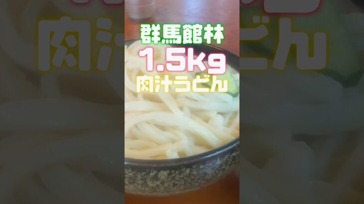 【大盛りうどん】群馬の館林で５人前うどんを食らう😆#デカ盛り#大盛り#うどん好き#群馬#館林