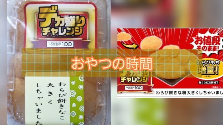 【和菓子】わらび餅きなこ大きくしちゃいました【デカ盛り】