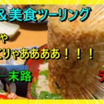 【🟢絶景＆グルメ🐟】道志～富士山〜沼津ツーリング 後編【昼食はデカ盛り❗️】#ツーリング #沼津  #富士山