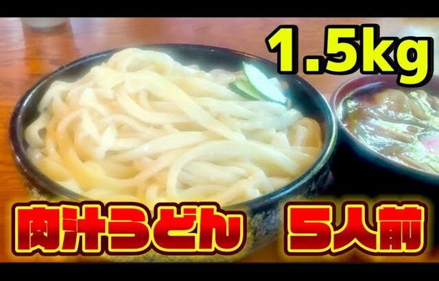 【小食王】デカ盛りの聖地群馬館林で５人前の肉汁うどんに挑戦😍#デカ盛り#大盛り#小食い#小食いファイター#肉汁うどん#群馬#館林#うどん好き#完食チャレンジ