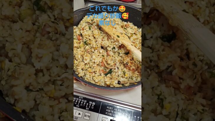 デカ盛り炒飯🥰白米たぁくさんあった🧐#踊るゴルフ夫婦#ShortYouTube#りんりんりんりんりんりんりんりんさんとタカタカタカヒロ#デカ盛り