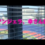 【感想】デカ盛りドリームマッチin湘南　第６７回オールスター競輪（ＧⅠ）