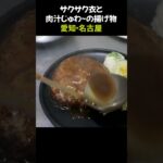 名古屋のデカ盛ならこの店！唐揚げタワーを完食せよ！