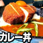 【デカ盛り】奈良で最高に美味いガッツリ飯を食べるならここ！