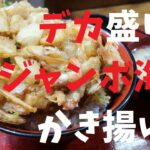 【千葉県】デカ盛り！ジャンボ海鮮かき揚げ丼【週末の地図ファルカブ】