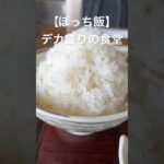 【ぼっち飯】デカ盛りで有名な食堂に行ってきた#vlog #デカ盛り #ぼっち #ぼっち飯 #休日 #休日の過ごし方 #食堂 #埼玉 #グルメ