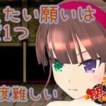 【デカ盛り閃乱カグラ】 叶えたい願いはただ1つ (難易度難しい) 【vita】