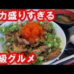 【香川】デカ盛りすぎるソウルフードを食す。名物かしわバター。とびっこ載せのかしわとび盛り大盛り。絶品の鶏肉バター炒め。カレーが無料【かしわの武内】高松市/ Chicken, Kagawa, Japan