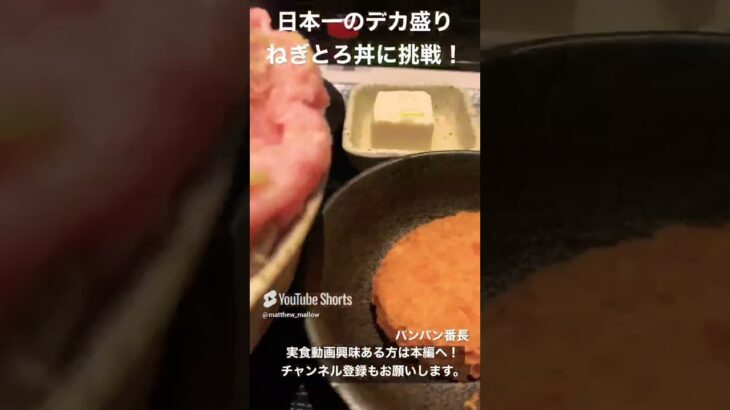 【バンバン番長】これが日本一のデカ盛りねぎとろ丼！マリンタワーII【大食い】 #shorts