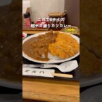 これでSサイズ！大盛り厳禁の超デカ盛りカツカレーのお店！#グルメ #カレー #ぼっち飯#デカ盛り#大盛り#どん八