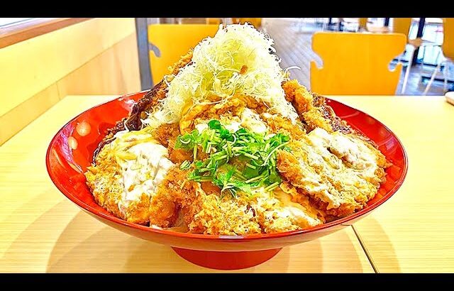 【愛知デカ盛り】田原めっくんはうす丼/かつさと田原めっくんはうす店【愛知県田原市東赤石】